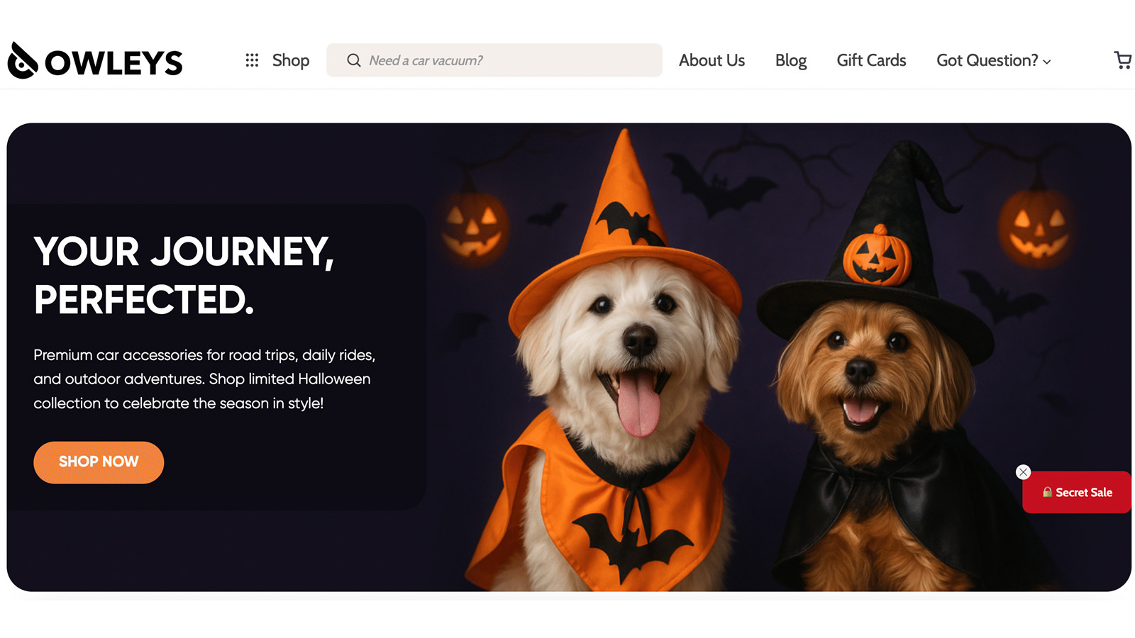 owleys_store